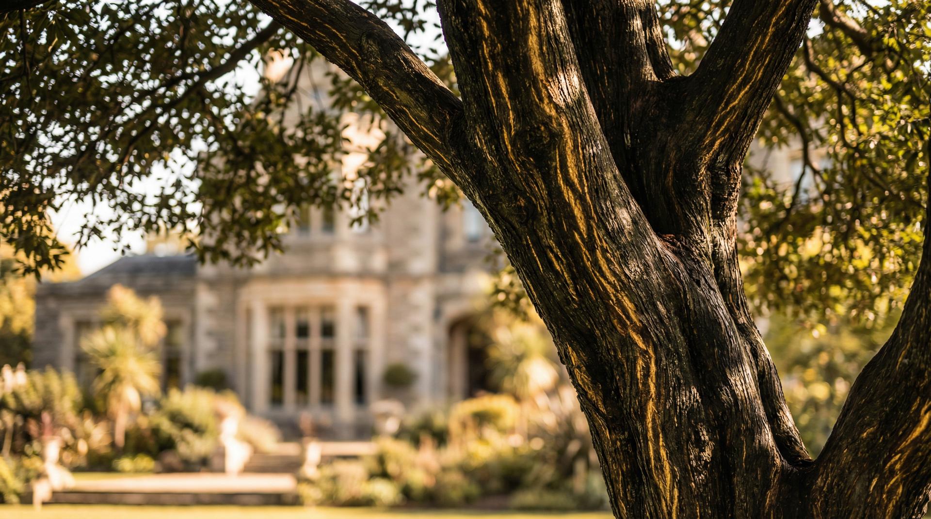 蘑菇视频植物视频展示-珍稀植物